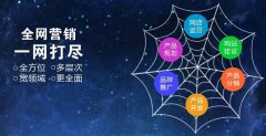深圳seo優(yōu)化公司是怎么提升網(wǎng)絡營銷的的?