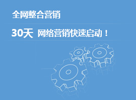 全網(wǎng)營(yíng)銷-品牌高端